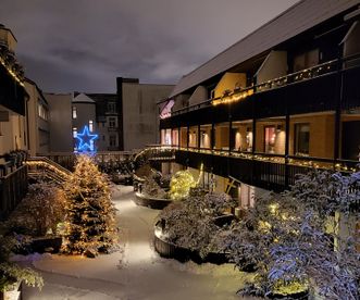 Vinter på innergården.